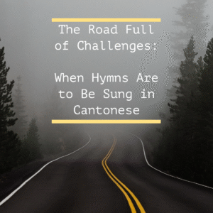 A road with trees on either side disappearing into fog