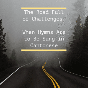 A road with trees on either side disappearing into fog